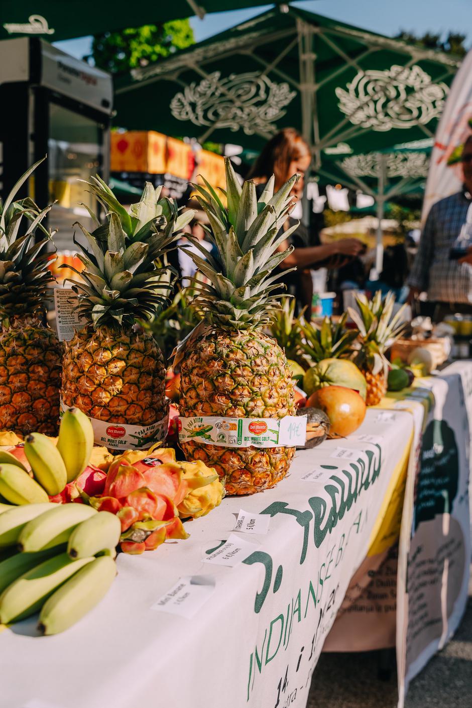 fiesta latina | Author: Press