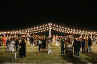 dunav wine festival 2025.