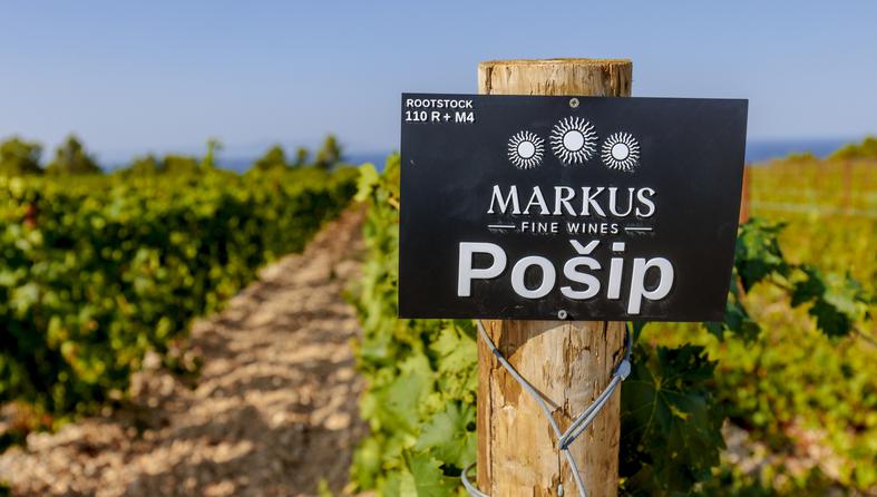 Markus Wines