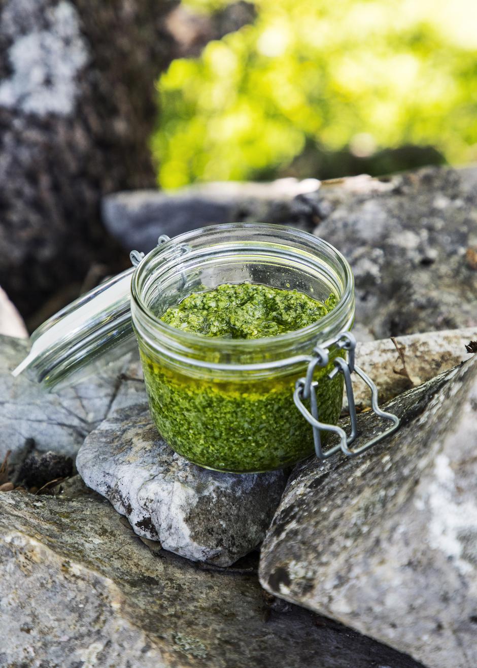 pesto od listova rotkvice | Author: Nataša Krezić/Natin pjat