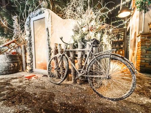 zimska bajka u Botanistu