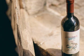 benvenuti santa elisabetta 2021.