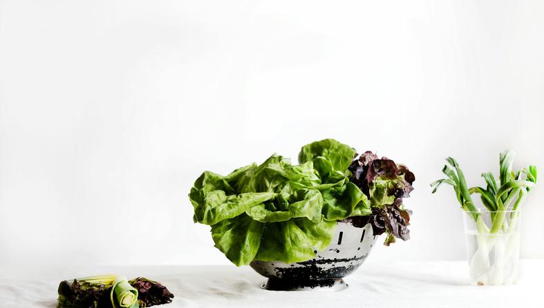 salata, zeleno povrće, lisnato povrće