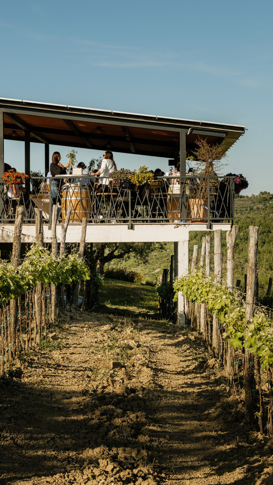 cattunar, malvazija day | Author: Press