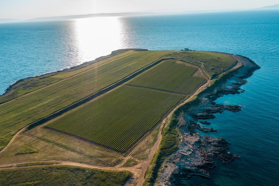 punta greca | Author: Press