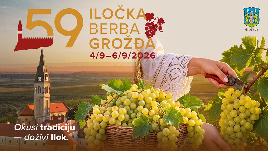 iločka berba grožđa | Author: Press