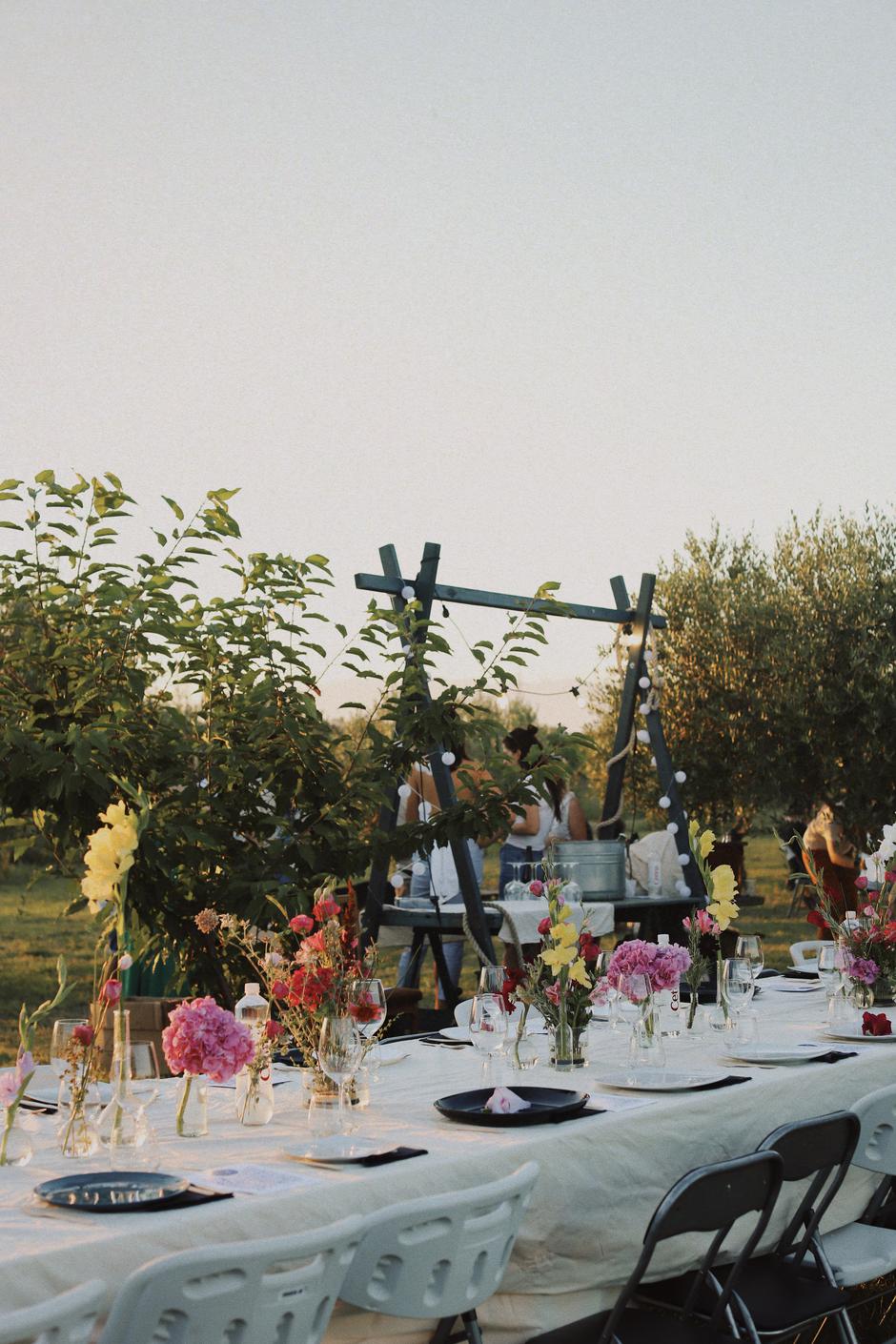 TOČ festival | Author: Press