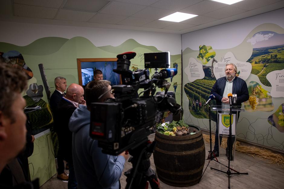 zlatna žutica, bregovita hrvatska | Author: Matej Ščavničar