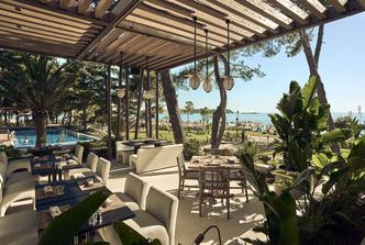 valamar, pical resort, purobeach club