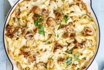piletina tetrazzini