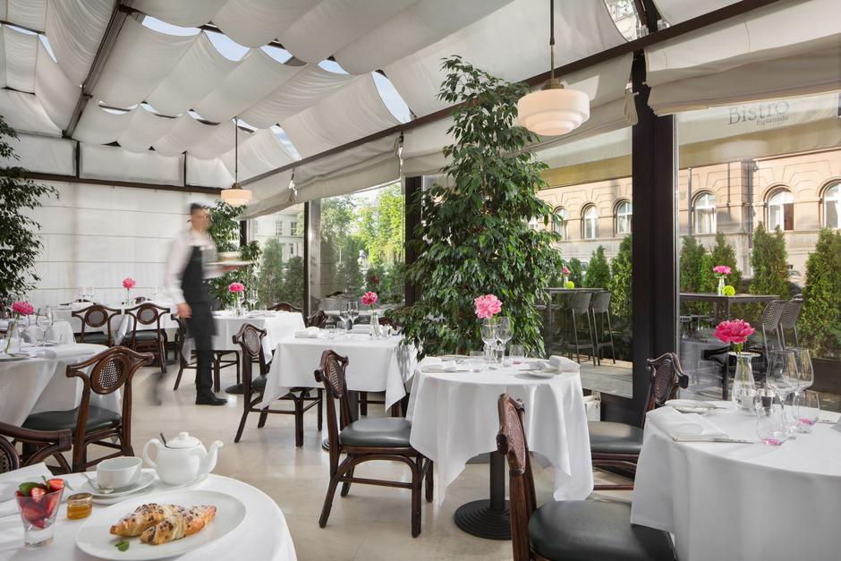 Le Bistro Esplanade, ljetni meni, ana grgić tomić | Author: Rajan Milosevic