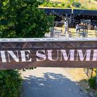 wine summer