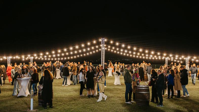 dunav wine festival 2025.