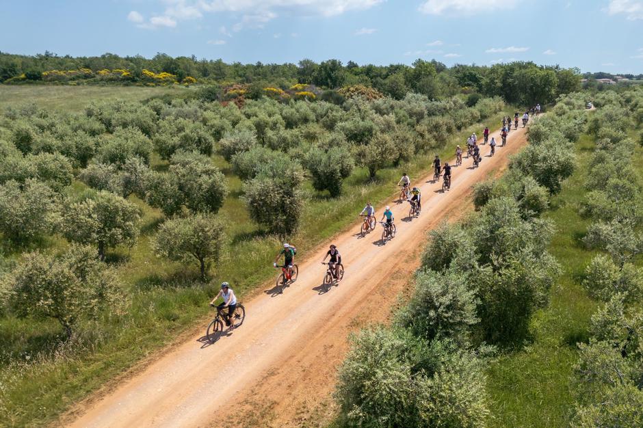 Gourm-E-bike Kaštelir-Labinci | Author: Manuel Paljuh