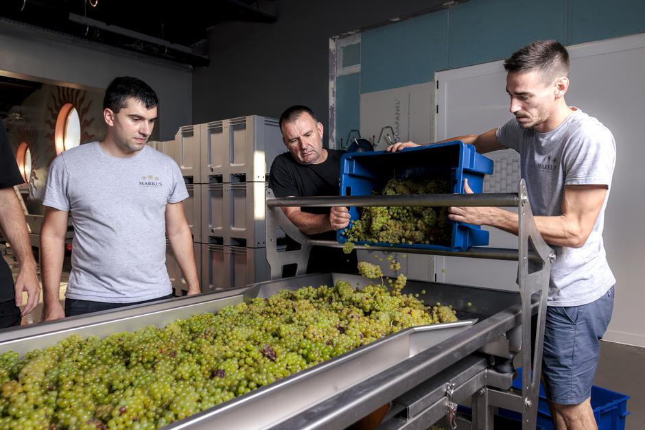 Markus Wines | Author: Press