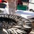 autentica food and wine festival, brela