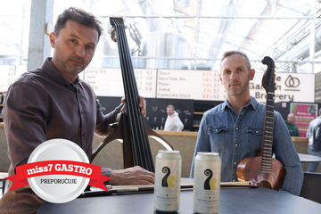 hojsak & novosel, pivo