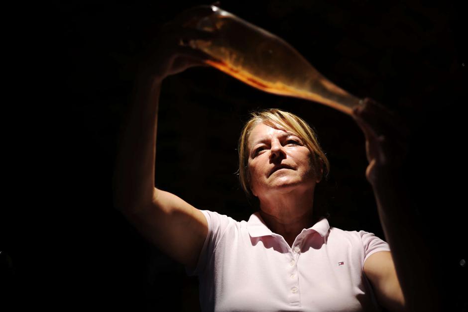 zagorski vinari, bregovita hrvatska | Author: Ante Gudelj