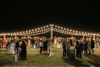dunav wine festival 2025.