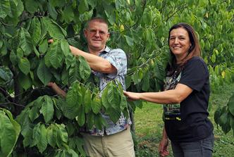 festival indijanskih banana