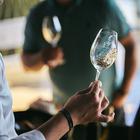 Decanter Winners Showcase