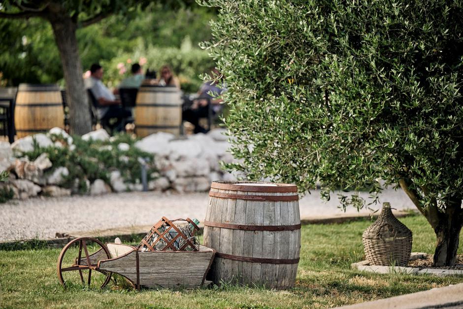 dan otvorenih podruma u istri, vinistra | Author: Merlo De Graia