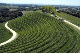 Međimurje Wine&Walk