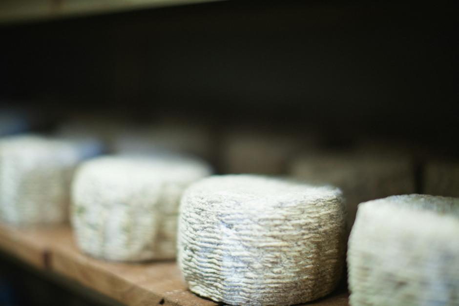 kozji sir | Author: Bret Lama/Unsplash