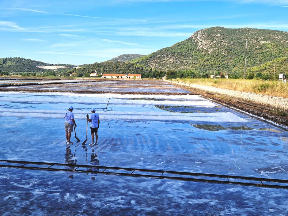 festival soli, ston | Author: TZ općine Ston