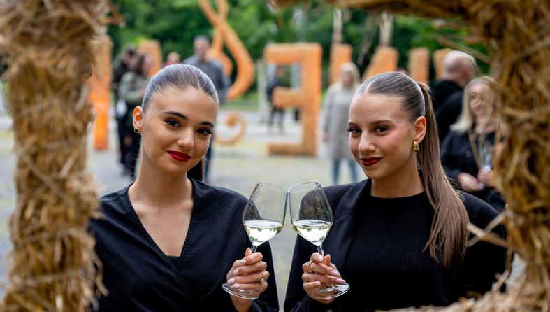osijek, Večer vina i umjetnosti