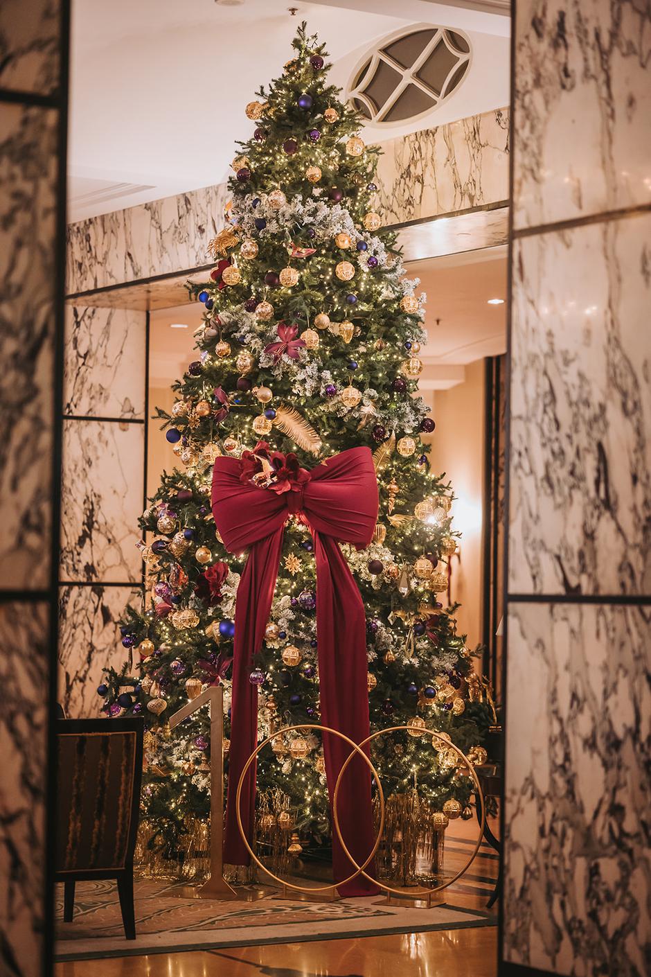 Esplanade | Author: Bruno Fantulin Photography