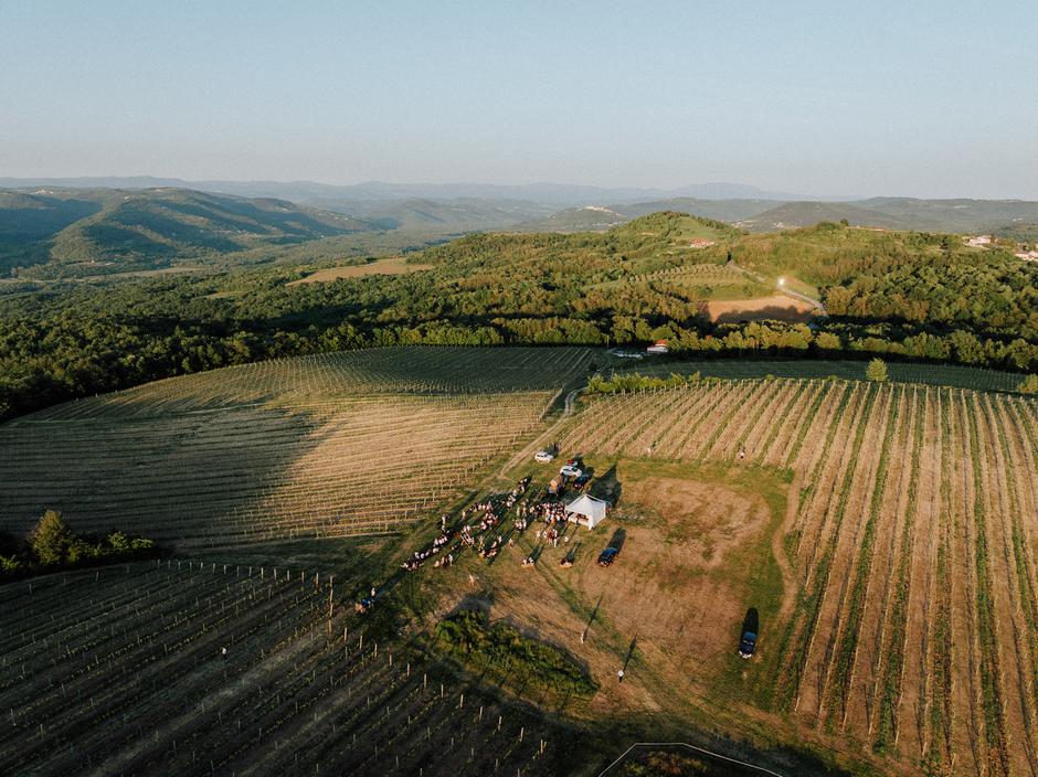 viva vino vižinada, wine&Walk | Author: Sebastijan Skoko