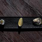 kamenice, bota šare