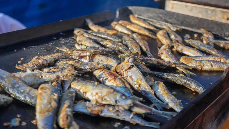 Pula: Povodom Dana grada održan Riva fest