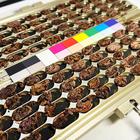 Dodijeljene nagrade Cacao of Excellence