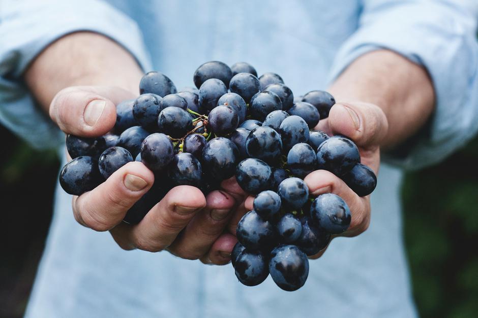 grožđe | Author: Maja Petric/Pexels