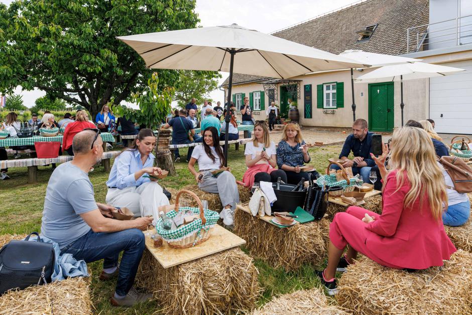 slow wine train | Author: Mario Đurkić, Horizont Solutions