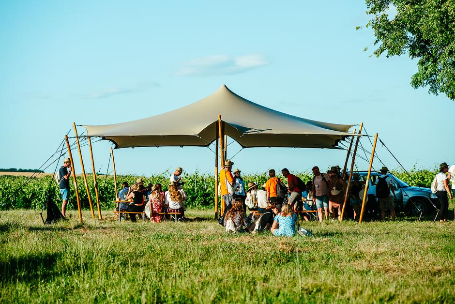 Baranja Wine&Walk | Author: Nenad Milić