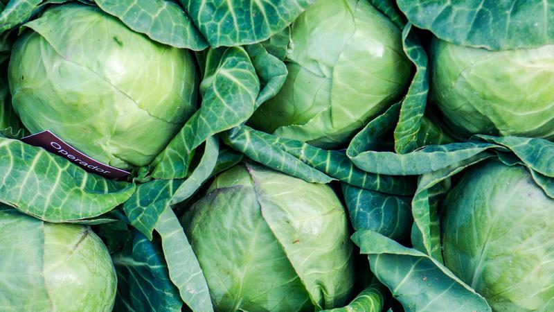 Kupus je opet cool, ovako ga pripremaju poznati chefovi