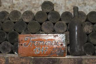 Ilok: U arhivi vina Iločkih podruma nalazi se i Traminac iz 1947. koji je bio na krunidbi kraljice Elizabete