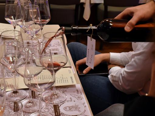 vislander plavac mali