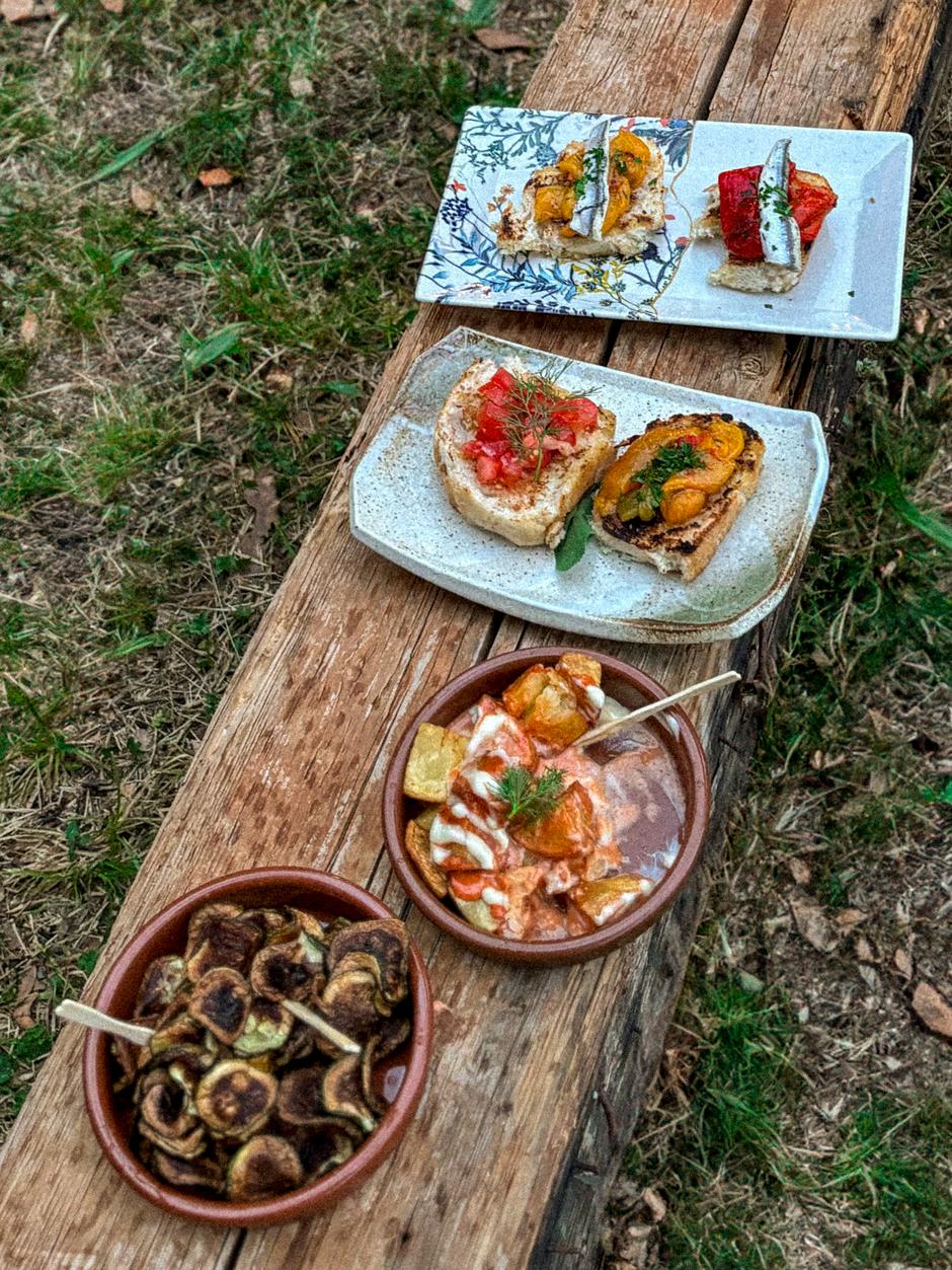 TOČ festival | Author: Press