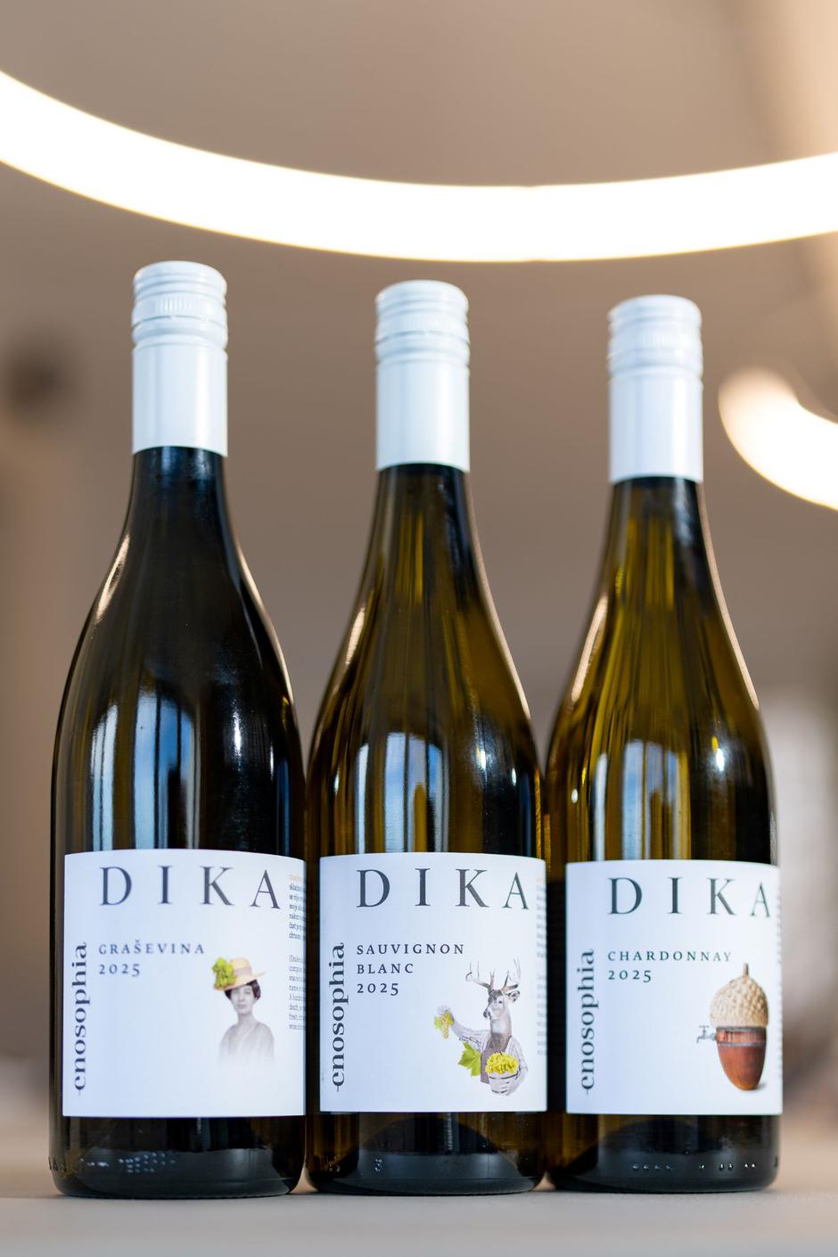 Enosophia, dika | Author: Tin Jeger, marketing Nexe d.d.