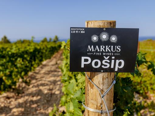 Markus Wines