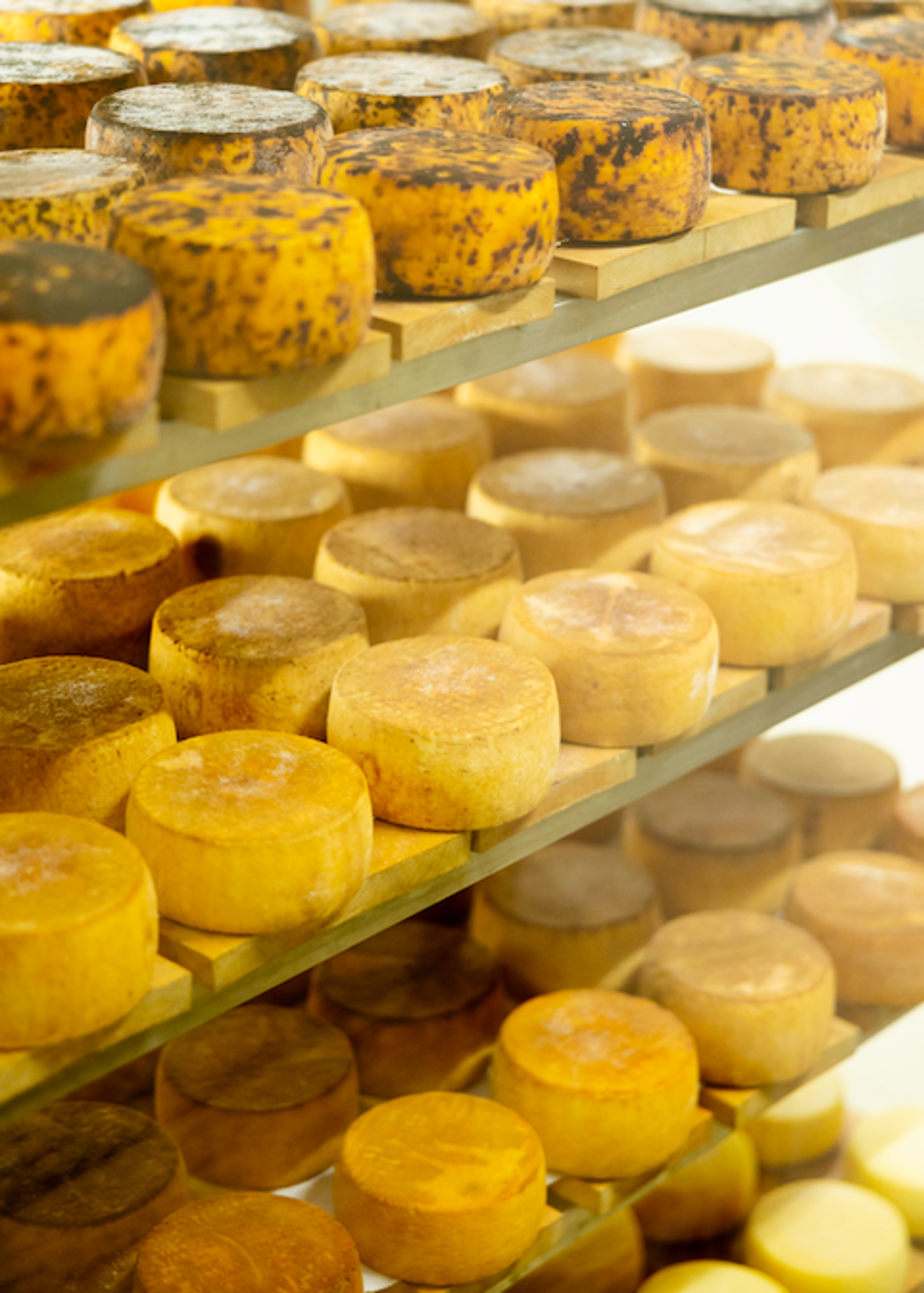 Travel to Taste Krk | Author: Press