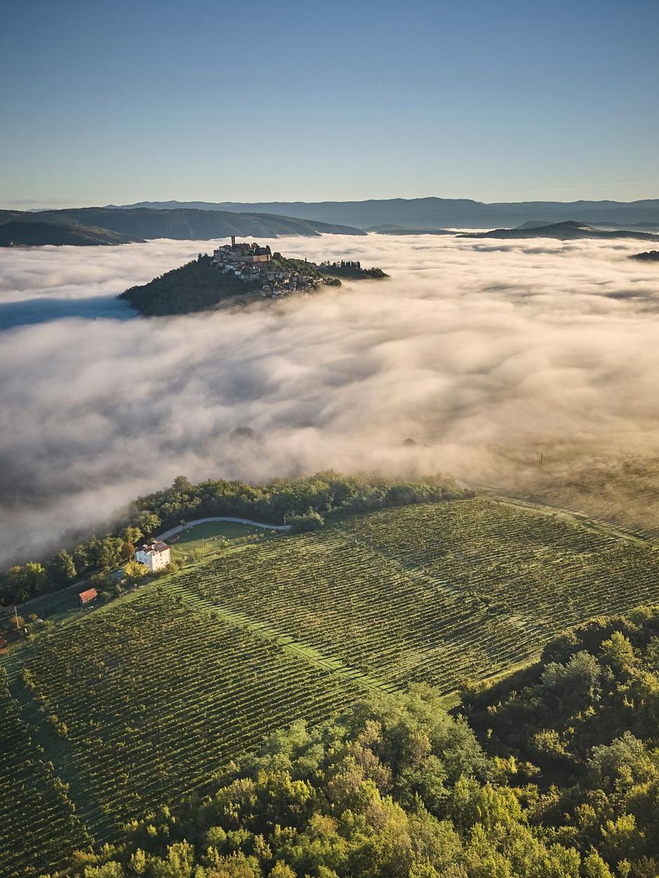 bertoša teran, vinistra, decanter | Author: Merlo De Graia