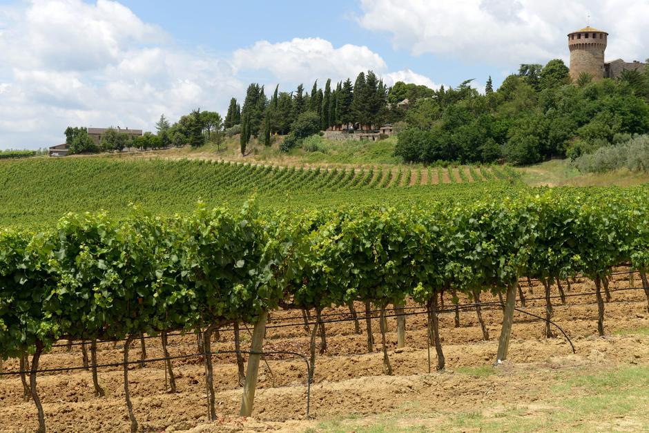 Vinarija Marchesi Antonori | Author: Profimedia