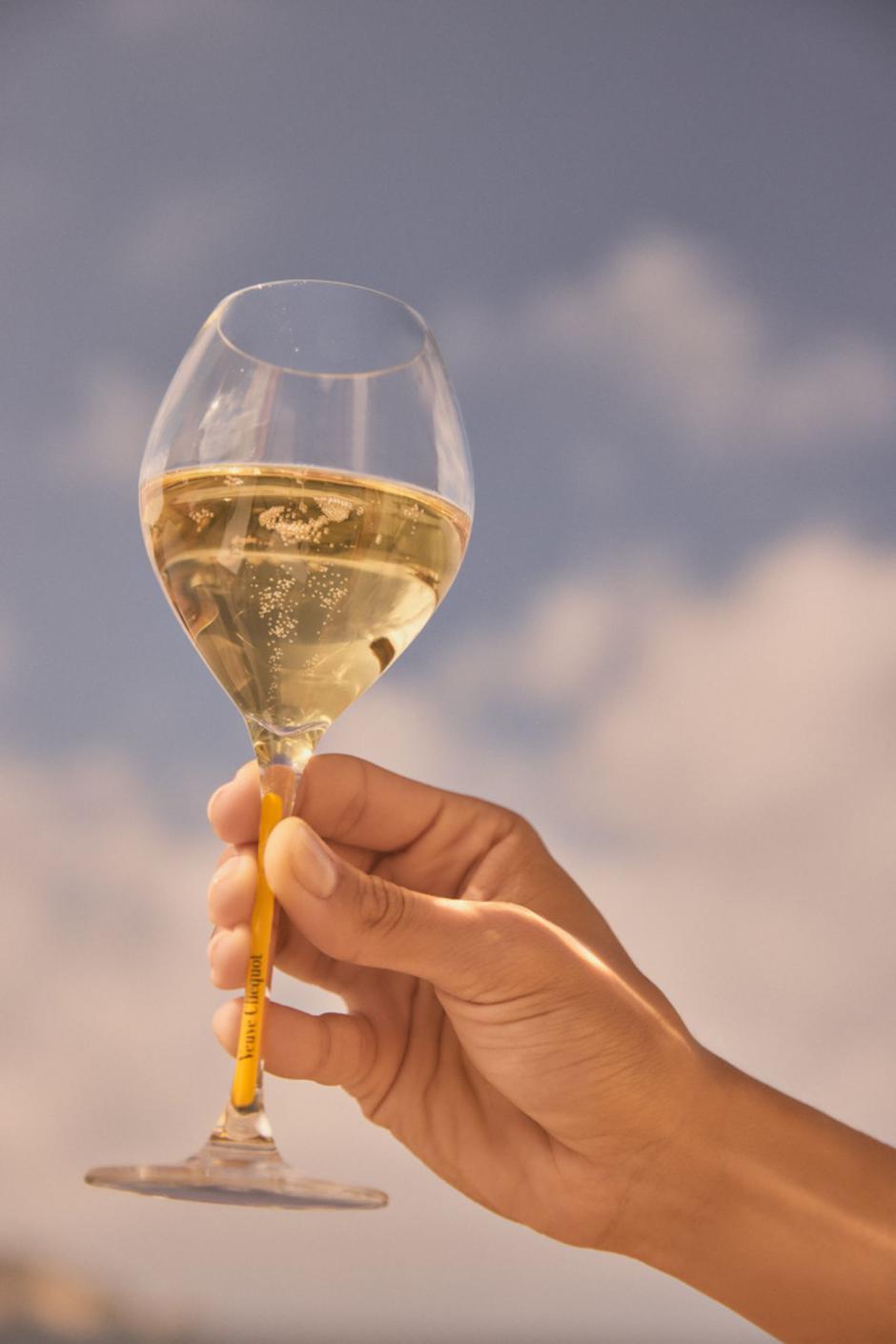 Hyatt Regency Zadar x Veuve Clicquot Pool Party | Author: Press
