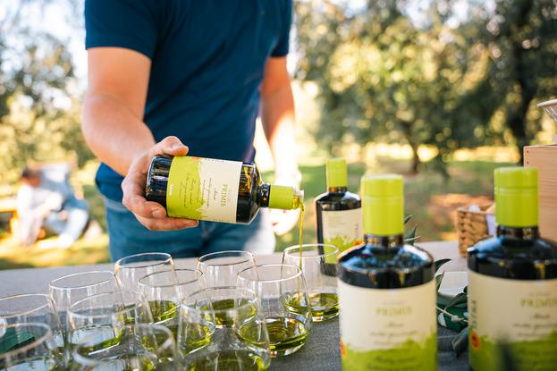 Salvela - Light Komunikacije