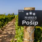 Markus Wines
